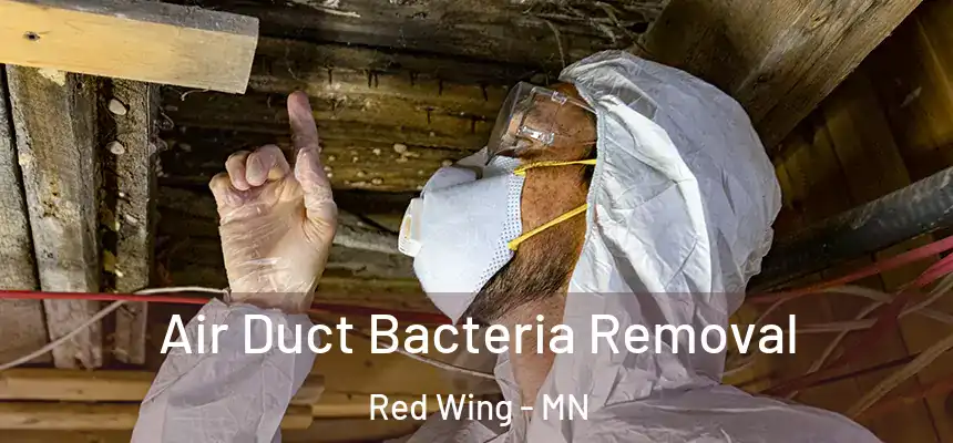  Air Duct Bacteria Removal Red Wing - MN