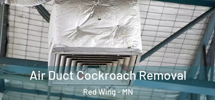  Air Duct Cockroach Removal Red Wing - MN