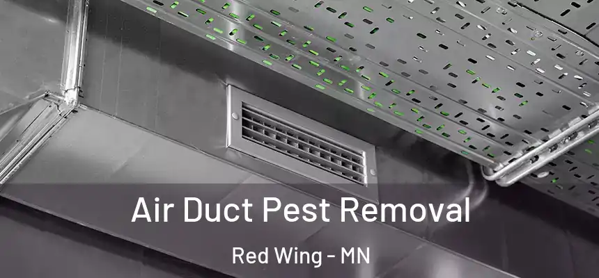  Air Duct Pest Removal Red Wing - MN