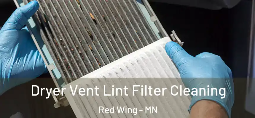  Dryer Vent Lint Filter Cleaning Red Wing - MN