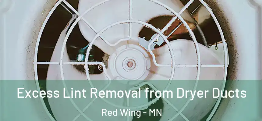  Excess Lint Removal from Dryer Ducts Red Wing - MN