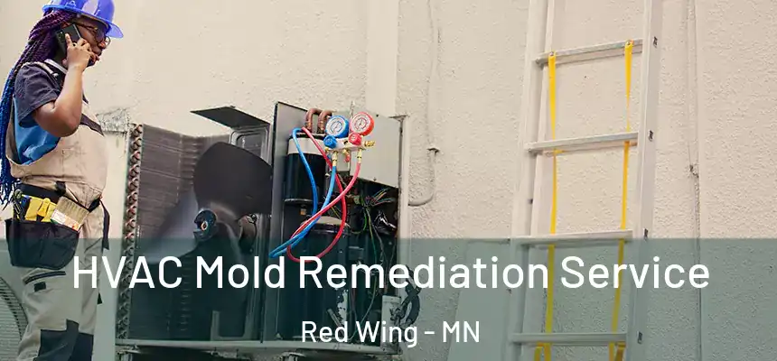  HVAC Mold Remediation Service Red Wing - MN