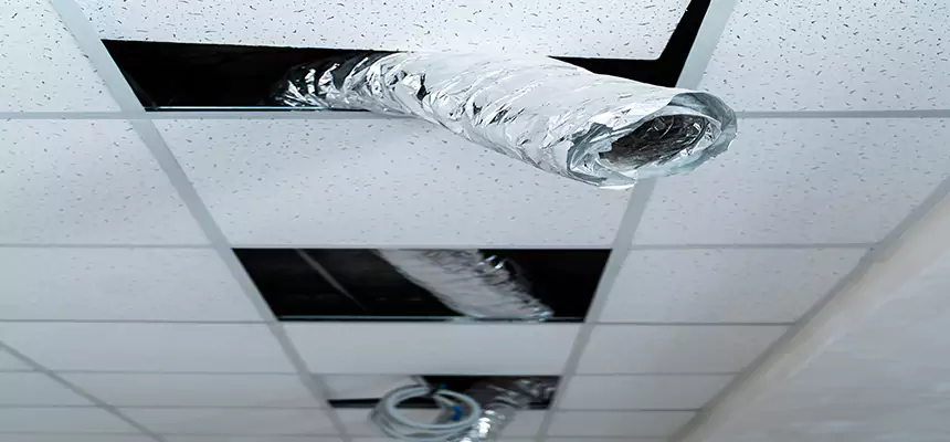 Our Air Duct Pet Hair Removal Services in Red Wing, MN