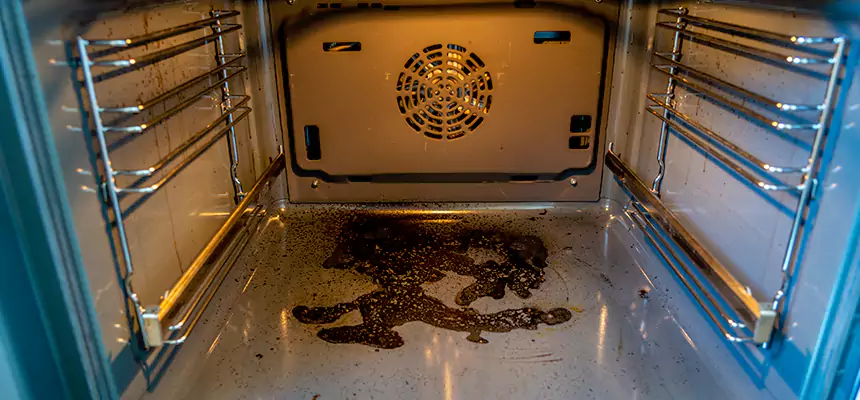 Our Dryer Vent Mold Cleaning Services in Red Wing, MN