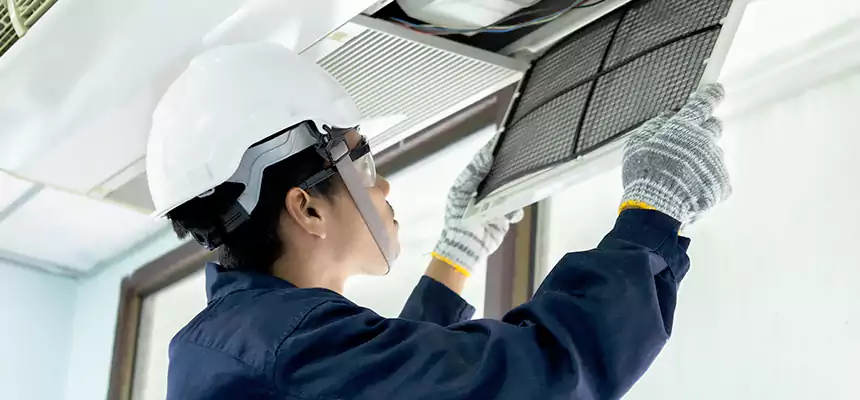 Our Mold & Mildew Removal from Air Ducts Services in Red Wing, MN