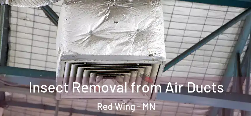  Insect Removal from Air Ducts Red Wing - MN