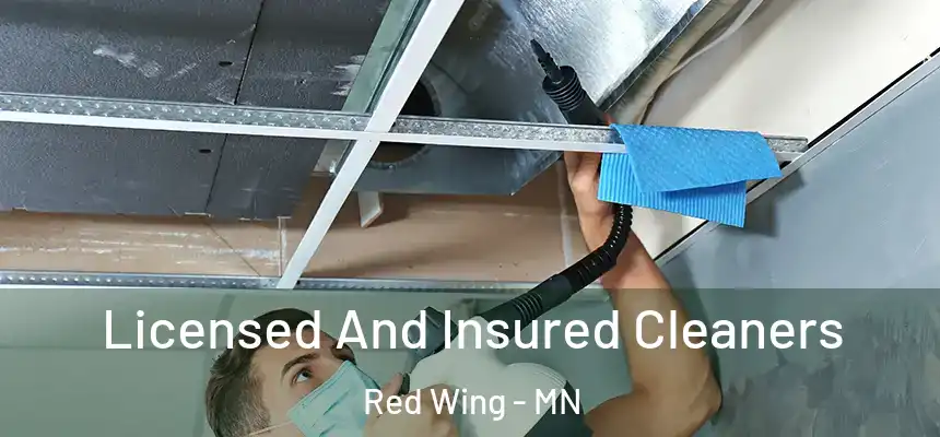  Licensed And Insured Cleaners Red Wing - MN