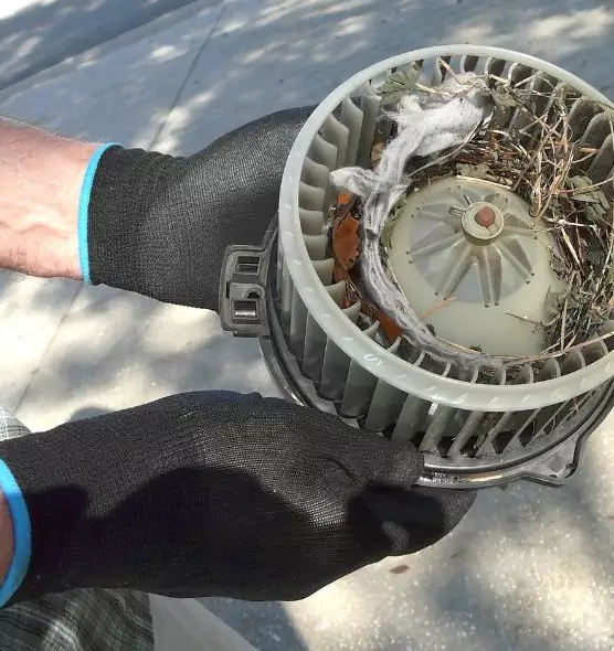 About Air Duct Mice Removal in Red Wing, MN