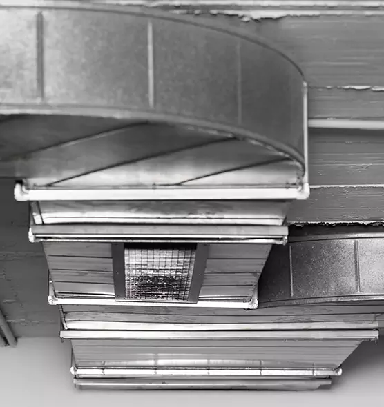 Professional Air Duct Pest Removal in Red Wing, MN