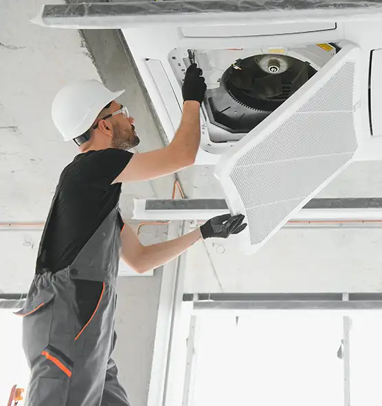 About Air Duct Rodent Removal in Red Wing, MN