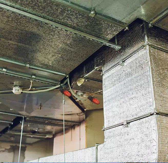 Why Homeowners & Businesses Trust Us in Red Wing, MN?