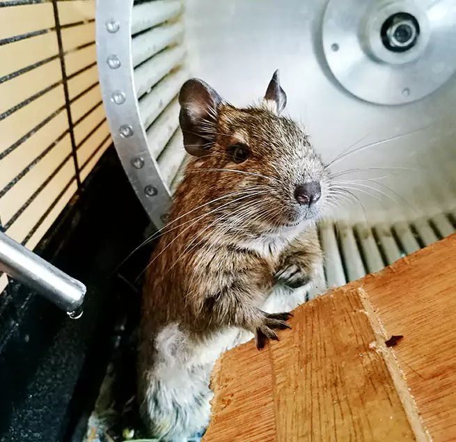 Why Homeowners & Businesses Trust Us Red Wing, MN?