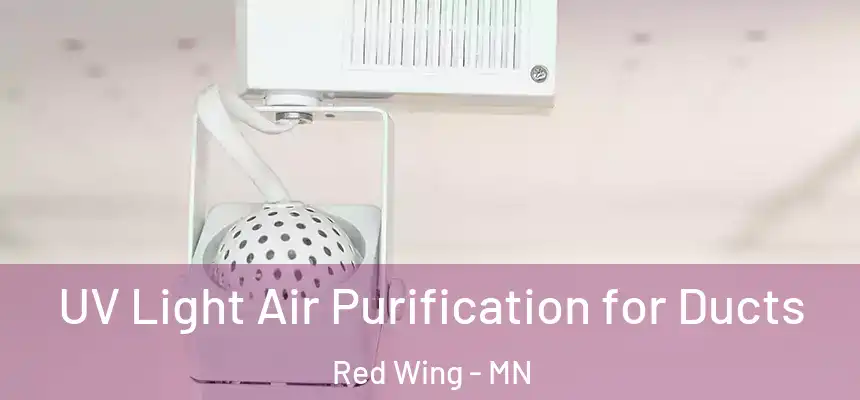  UV Light Air Purification for Ducts Red Wing - MN